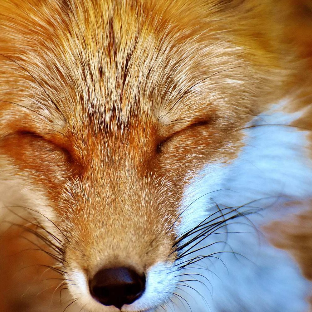 17-10-17-5 17-10-17-5